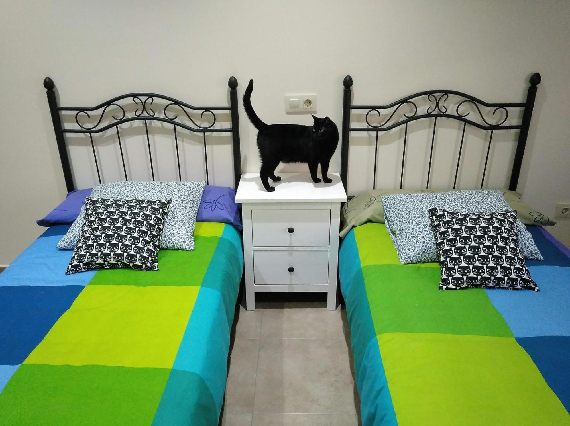 Casa rural El Gato Negro Trefacio Esterno foto